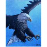 National Christian Academy