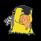 Wolsey Wessington High School 