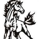 Shawsville High School