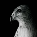 Hickory Middle School