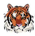 Fort Fairfield MS