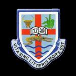 Mannings High School