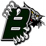 Current League Logo