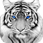 Richmond County Technical Career Magnet School