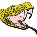 Little Snake River Middle School