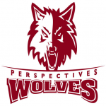 Perspectives-IIT Math and Science Academy