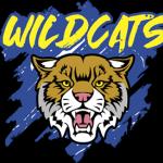 East Allegheny Wildcats Track