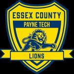 Payne Tech - Essex