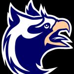 Real Salt Lake Academy