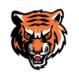 Ironton MS