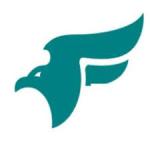 Owasso Falcons