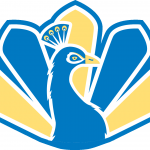 IDEA Rio Grande City