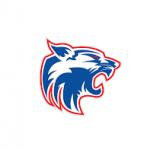 Harmony School of Innovation (Katy)