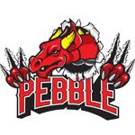 Doral Academy Pebble