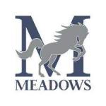 The Meadows MS