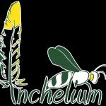 Inchelium School District 70