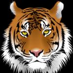 Fourteen Avenue School