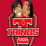 Universidad Ana G Mendez