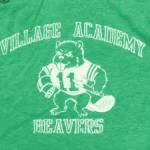 Village Academy