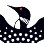 NH Loons