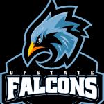 Upstate Falcons Middle School