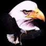 Virgie Middle School