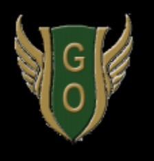 GOXCTF Timing