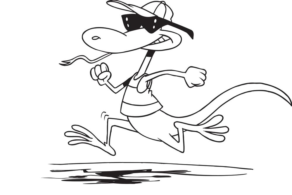 Quick Lizard Timing